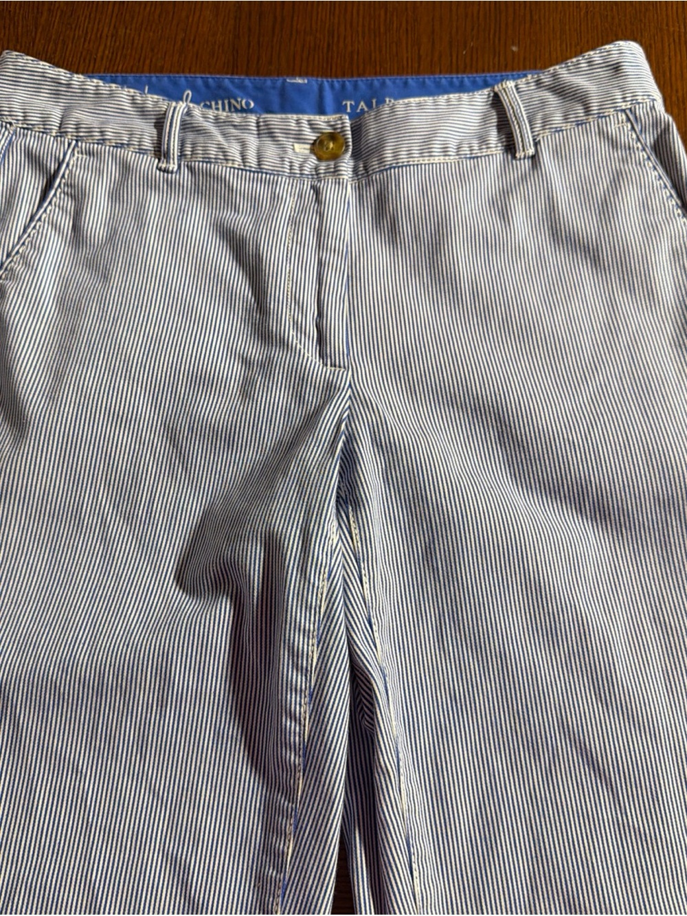Talbots Tailored Blue & White Striped Chino Pants - Blue/White size 2